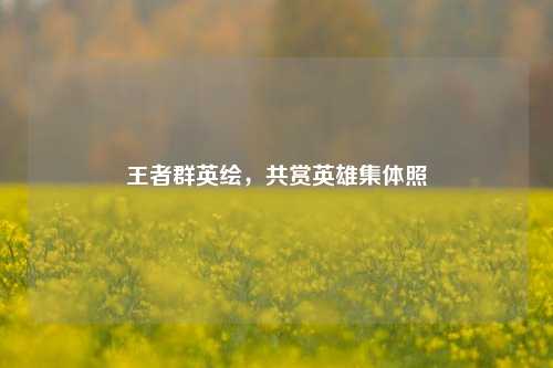 王者群英绘，共赏英雄集体照