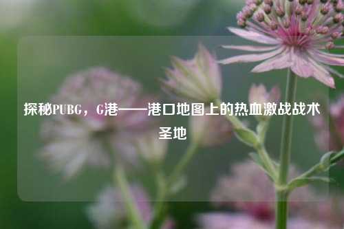 探秘PUBG，G港——港口地图上的热血激战战术圣地