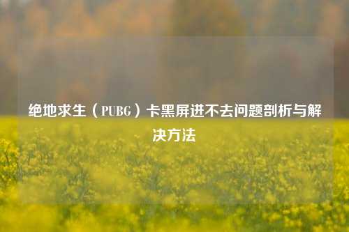 绝地求生(PUBG)卡黑屏进不去问题剖析与解决方法