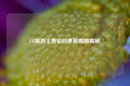 CF端游王者轮回更新周期揭秘