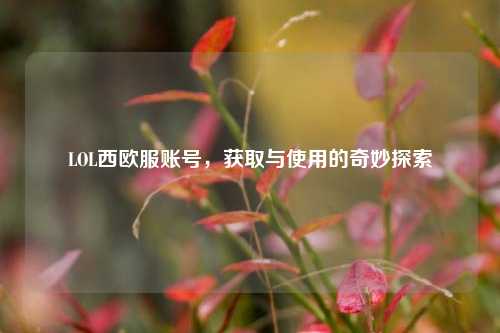LOL西欧服账号，获取与使用的奇妙探索