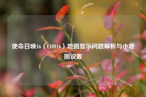 使命召唤16(COD16)地图显示问题解析与小地图设置