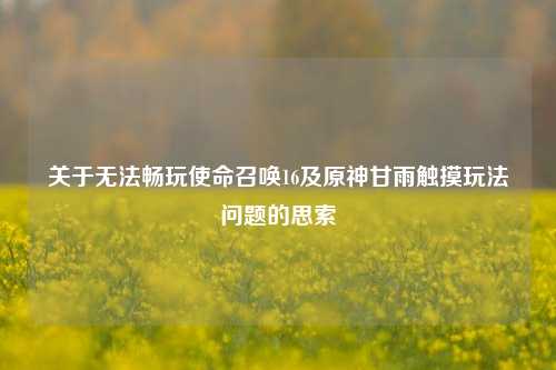 关于无法畅玩使命召唤16及原神甘雨触摸玩法问题的思索