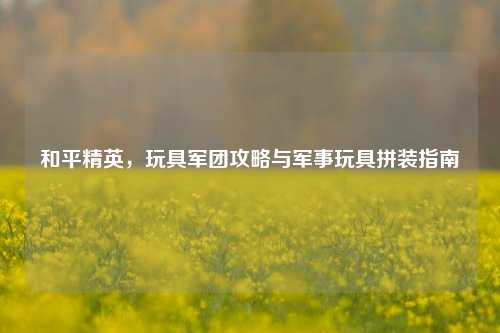 和平精英,玩具军团攻略与军事玩具拼装指南