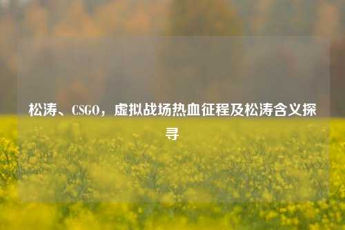 松涛、CSGO,虚拟战场热血征程及松涛含义探寻