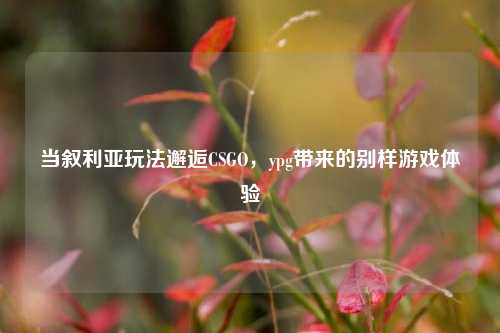 当叙利亚玩法邂逅CSGO，ypg带来的别样游戏体验