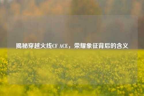 揭秘穿越火线CF ACE,荣耀象征背后的含义