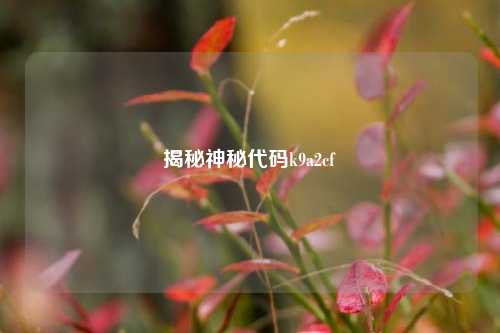 揭秘神秘代码k9a2cf
