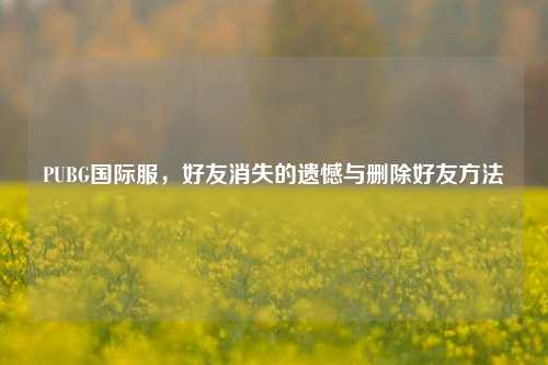 PUBG国际服,好友消失的遗憾与删除好友方法