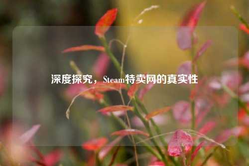 深度探究,Steam特卖网的真实性