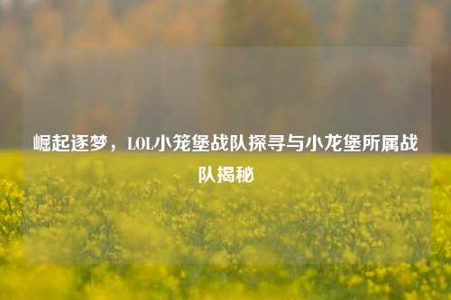 崛起逐梦,LOL小笼堡战队探寻与小龙堡所属战队揭秘