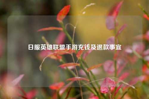日服英雄联盟手游充钱及退款事宜