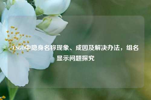 CSGO中隐身名称现象、成因及解决办法,组名显示问题探究
