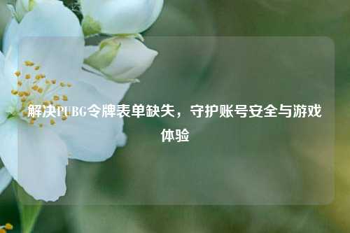 解决PUBG令牌表单缺失,守护账号安全与游戏体验