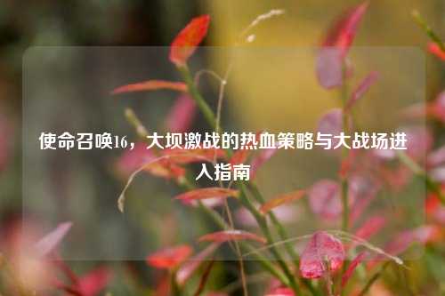 使命召唤16，大坝激战的热血策略与大战场进入指南