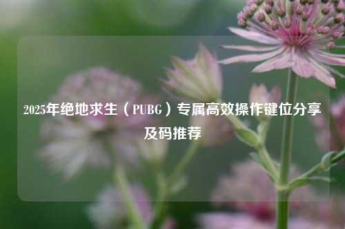 2025年绝地求生(PUBG)专属高效操作键位分享及码推荐