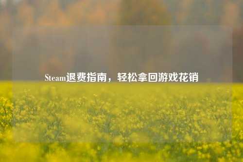 Steam退费指南,轻松拿回游戏花销