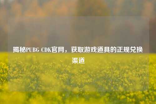 揭秘PUBG CDK官网，获取游戏道具的正规兑换渠道