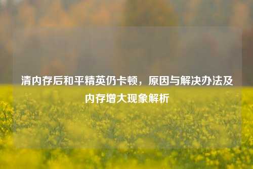 清内存后和平精英仍卡顿，原因与解决办法及内存增大现象解析