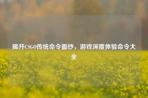 揭开CSGO传统命令面纱，游戏深度体验命令大全