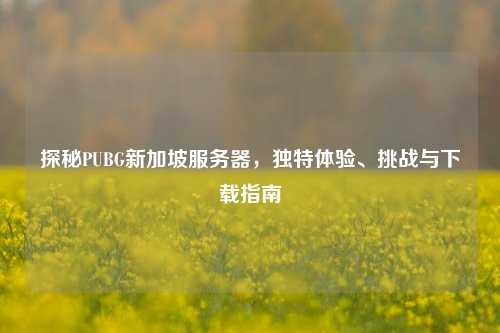 探秘PUBG新加坡服务器，独特体验、挑战与下载指南