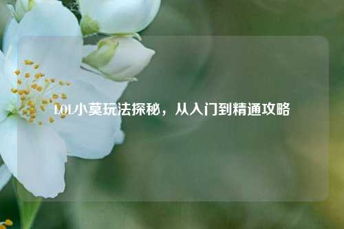 LOL小莫玩法探秘,从入门到精通攻略