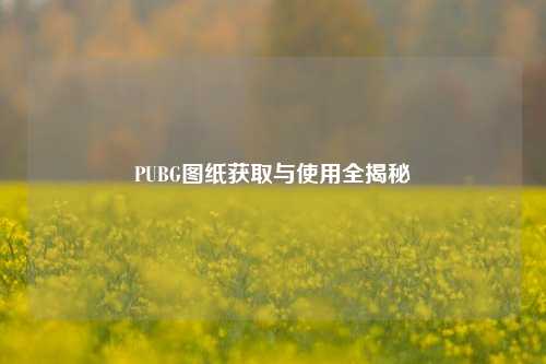 PUBG图纸获取与使用全揭秘