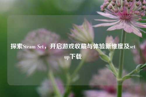 探索Steam Set，开启游戏收藏与体验新维度及setup下载