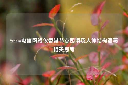 Steam电信网络仅香港节点困境及人体结构速写相关思考