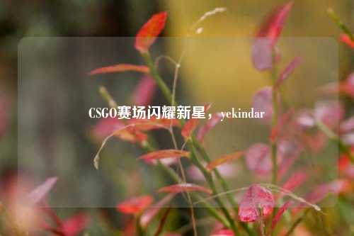 CSGO赛场闪耀新星,yekindar