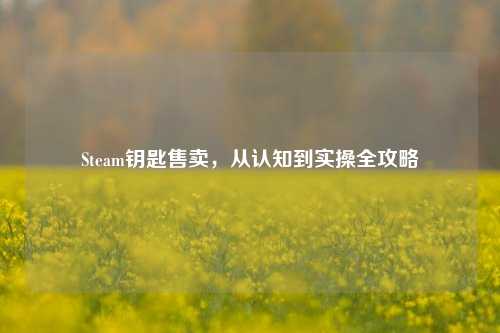 Steam钥匙售卖，从认知到实操全攻略