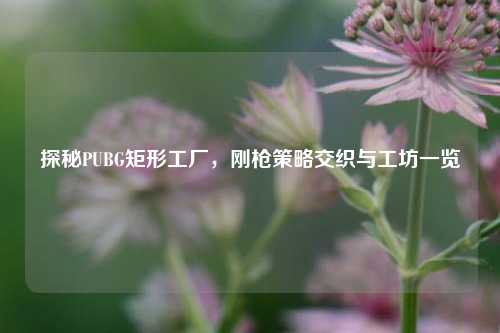 探秘PUBG矩形工厂,刚枪策略交织与工坊一览