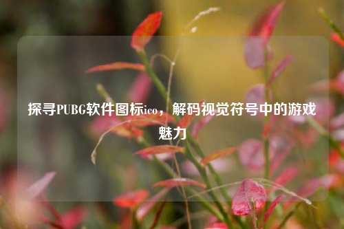 探寻PUBG软件图标ico,解码视觉符号中的游戏魅力
