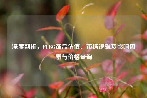 深度剖析,PUBG饰品估值、市场逻辑及影响因素与价格查询