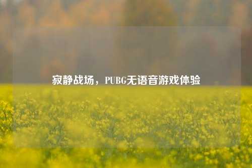 寂静战场,PUBG无语音游戏体验