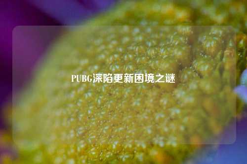 PUBG深陷更新困境之谜