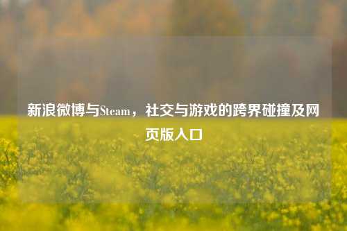 新浪微博与Steam,社交与游戏的跨界碰撞及网页版入口