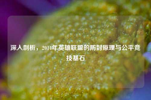 深入剖析,2014年英雄联盟的防封原理与公平竞技基石