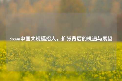 Steam中国大规模招人,扩张背后的机遇与展望