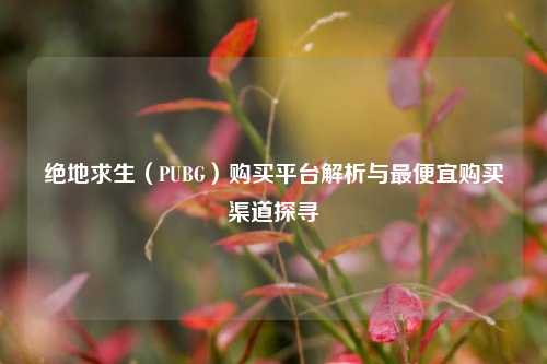 绝地求生(PUBG)购买平台解析与最便宜购买渠道探寻