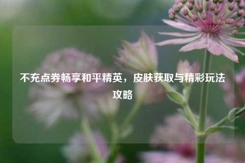 不充点券畅享和平精英,皮肤获取与精彩玩法攻略