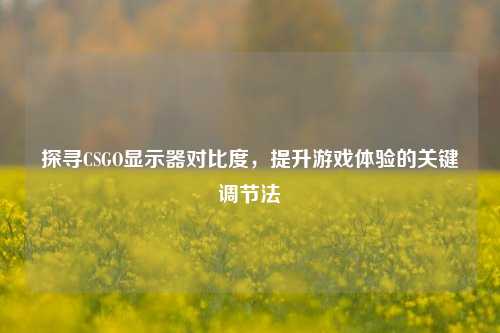 探寻CSGO显示器对比度,提升游戏体验的关键调节法