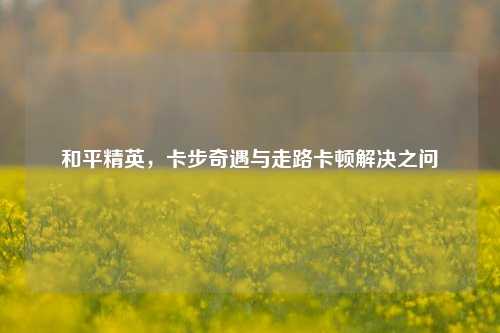 和平精英,卡步奇遇与走路卡顿解决之问