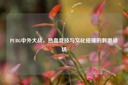 PUBG中外大战,热血竞技与文化碰撞的刺激战场