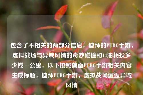 包含了不相关的两部分信息,迪拜的PUBG手游,虚拟战场与异域风情的奇妙碰撞和14油耗投多少钱一公里,以下按照前面PUBG手游相关内容生成标题,迪拜PUBG手游,虚拟战场邂逅异域风情