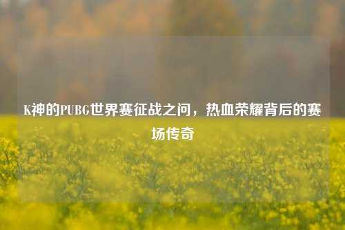 K神的PUBG世界赛征战之问，热血荣耀背后的赛场传奇
