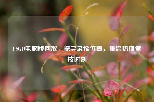 CSGO电脑版回放，探寻录像位置，重温热血竞技时刻