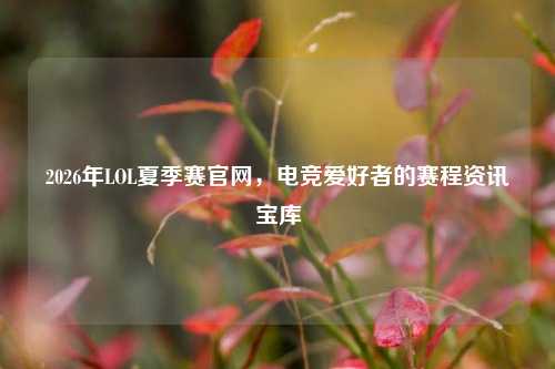 2026年LOL夏季赛官网,电竞爱好者的赛程资讯宝库