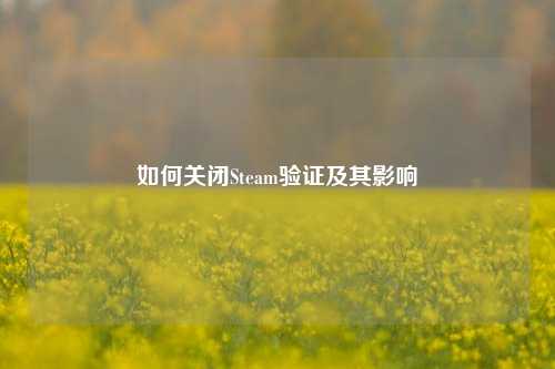 如何关闭Steam验证及其影响