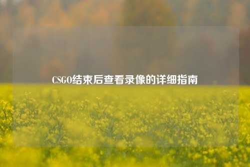 CSGO结束后查看录像的详细指南